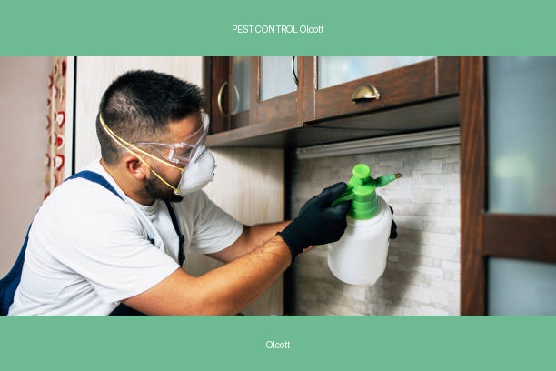 PEST CONTROL Olcott